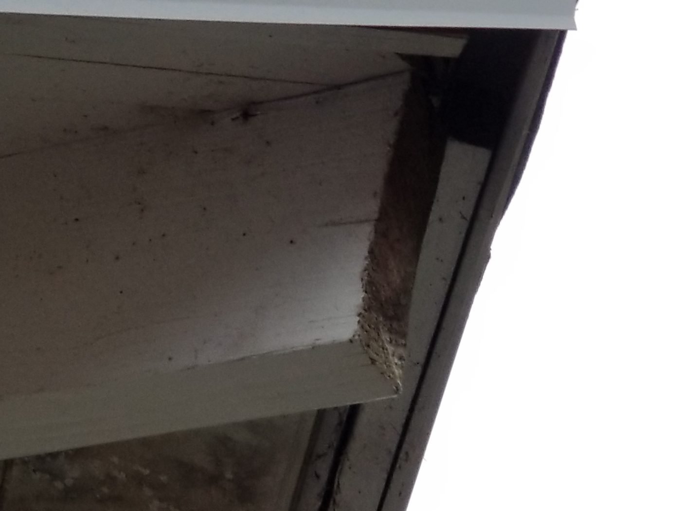 Close-up of an exposed roofing nail found during a Florida home inspection