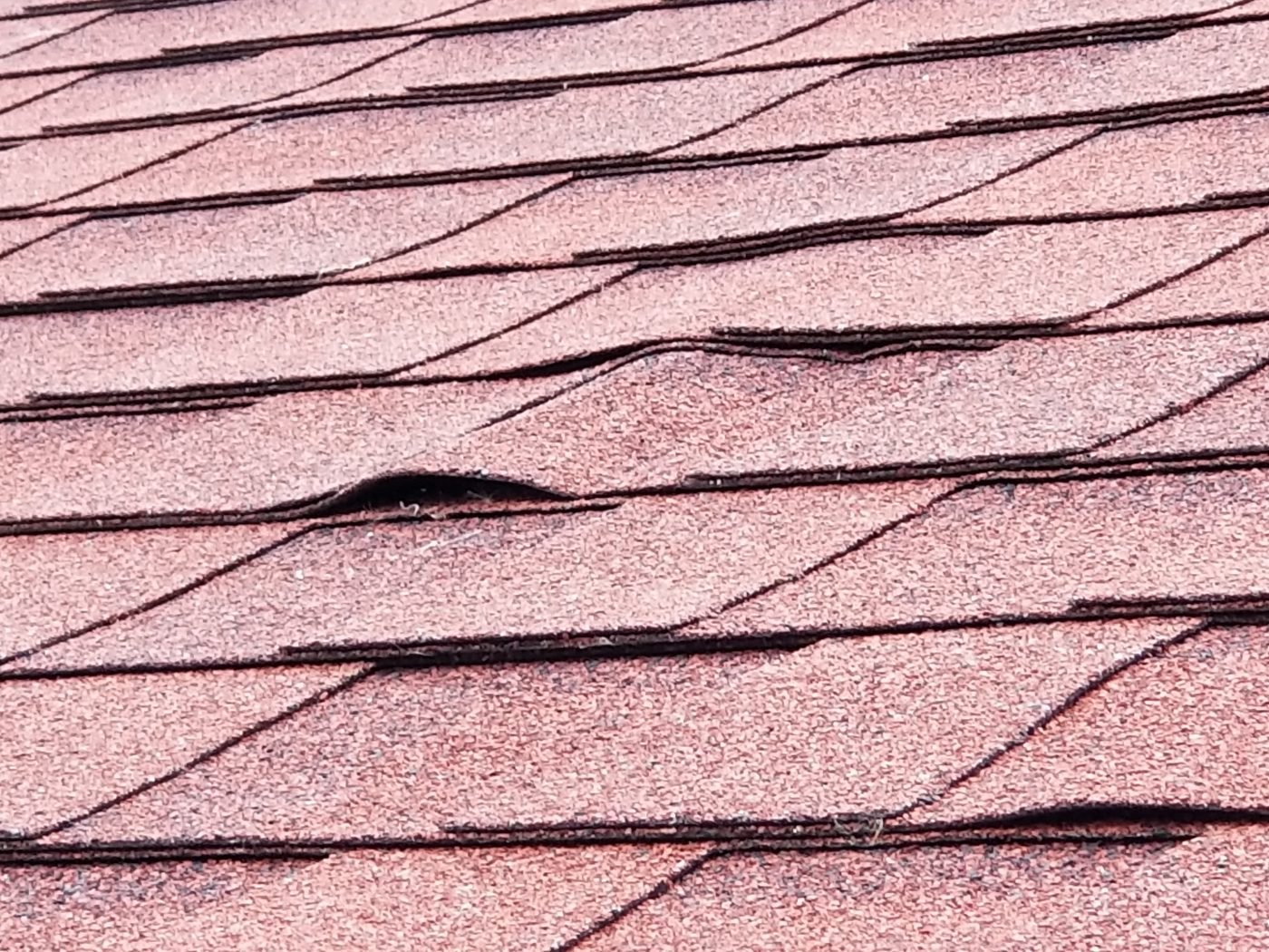 A lifted or misaligned roof shingle noted during a Florida roof inspection