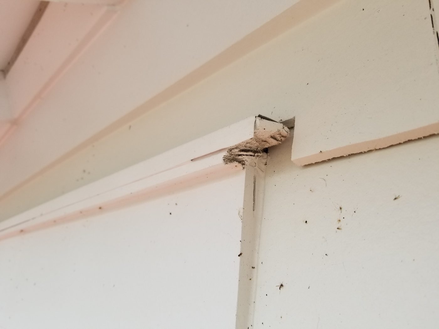 Z-metal drip edge under cement siding, documented during a Florida home inspection